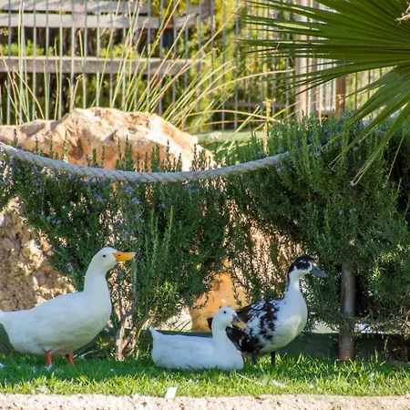 Hotel Rural El Cortijo 3*