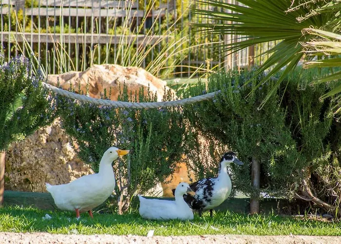 Hotel Rural El Cortijo 3*